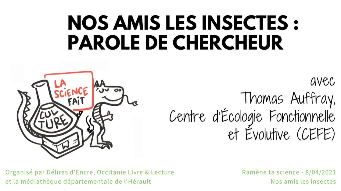 Ramène ta science Nos amis les insectes Qu