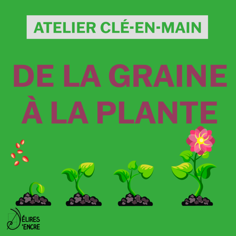 Illustration de l'atelier clé en main "De la graine à la plante"